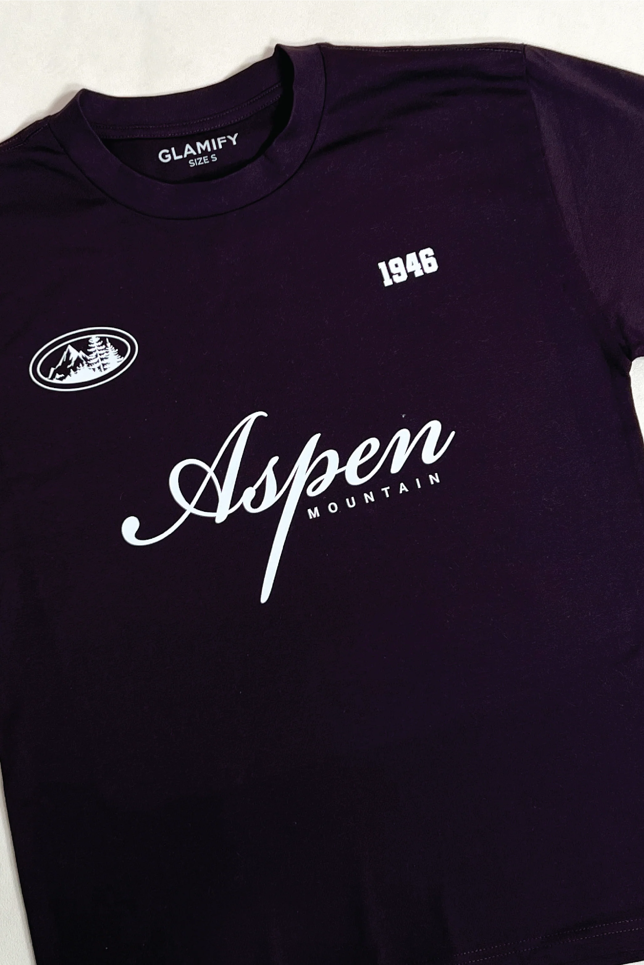Aspen Ski burgundy printed heavyweight t-shirt - Image 3